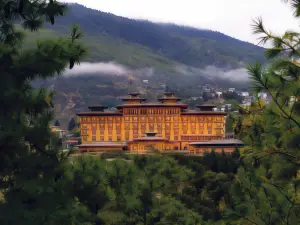 페마코 팀푸