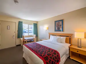 卡什溪加拿大最佳價值沙漠套房酒店