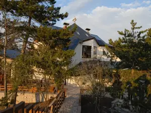 Hotel Trebjesa