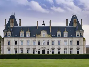 Château de Tressé Forest & Spa