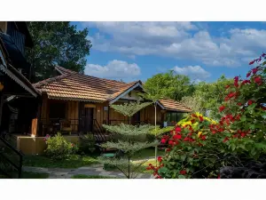 Mystery Maze Resort and Spa