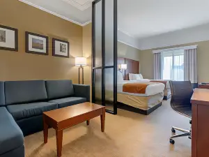 Comfort Suites Savannah North