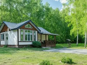 Dom Na Lesnoy Opushke Guest House