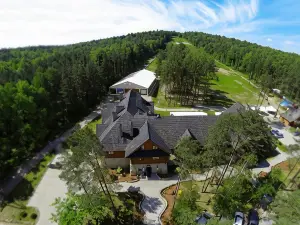 Hotel 365
