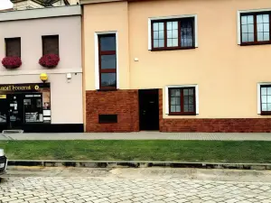 U paní malířky