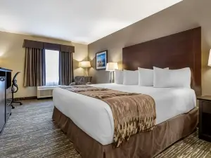 Best Western Plus Pembina Inn  Suites