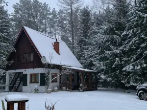 Karwica House