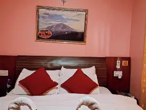 The Hotel Mountain
