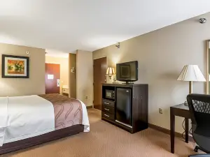 Quality Inn & Suites Clemmons I-40