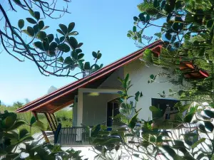 Birds Paradise Hotel