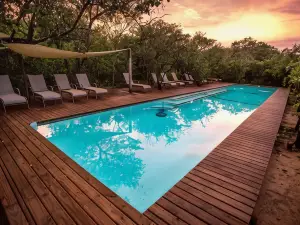 Royal Thonga Safari Lodge