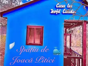 Leaganul Bucovinei Guest House