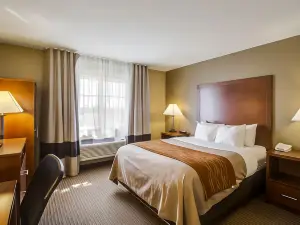 Comfort Inn & Suites Bellevue - Omaha Offutt AFB