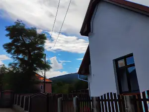 Pensiunea Narcisa cu Ciubar