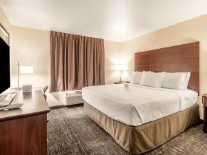 Cobblestone Hotel & Suites - Andrews
