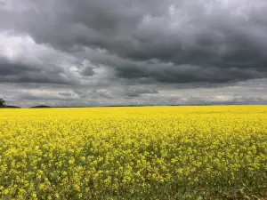 York's Lookout Lodge Bed and Breakfast