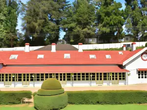 孔雀蘇達爾桑 KSTDC 飯店