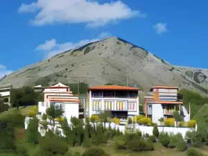 Hotel Metoxi