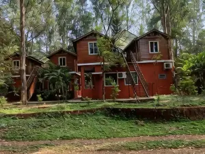 The Jungle Resort Amba