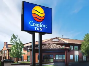 Comfort Inn South