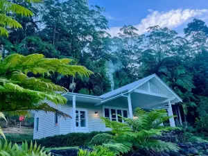 Nightcap Ridge - Byron Bay Hinterland