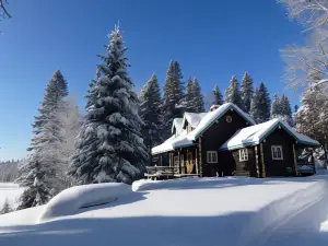 Domaine le Bostonnais - Le Village en Bois Rond
