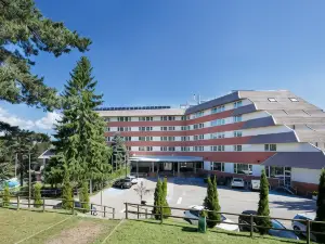 Alp Hotel Masella
