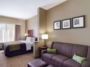 Comfort Inn Blackshear Hwy 84