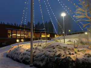 Hotelli Uninen Äänekoski