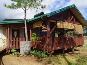 Le gîte du Koniambo