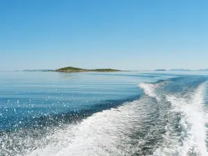 person holiday home in Arnoyhamn
