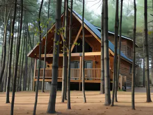 松樹天堂小屋