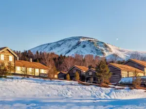 Bjerkeløkkja Bed and Breakfast