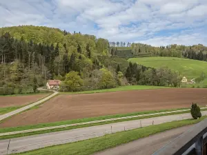 Gutjahr