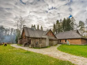Viikingite küla