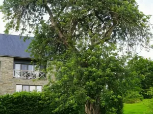 B&B Domaine du Vieux Chêne