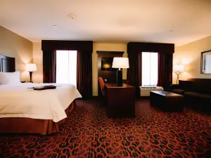 Hampton Inn & Suites Minot Airport