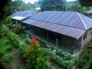 Green Lodge Tangkahan