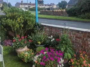 The Bridges B&B