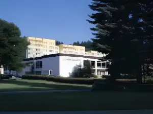 Morada Hotel Alexisbad