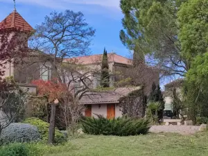 Spacious holiday home with private pool and park