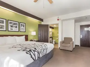Sleep Inn Little River - North Myrtle Beach