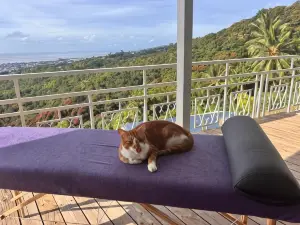 Airport Pamatai Studio