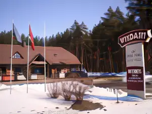 Visdari