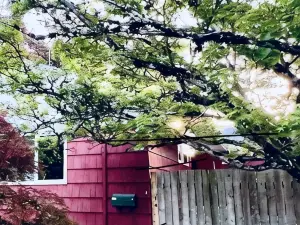 Roomy Newly Finished Lower Level - 4 Queen     Beds