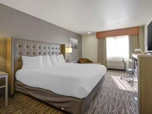 Best Western Plus Peppertree Airport Inn