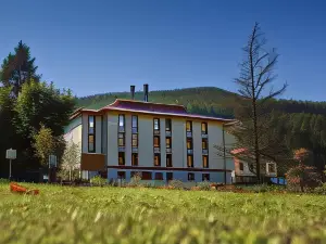 Hotel Balneario Areatza Nº 01224