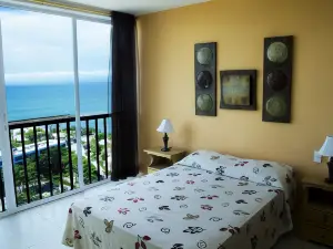 壯觀海景公寓式客房飯店