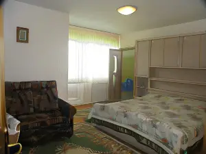 Vila Vlad