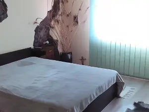 Casa Cosmin
